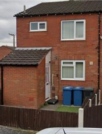 Abelia,Amington